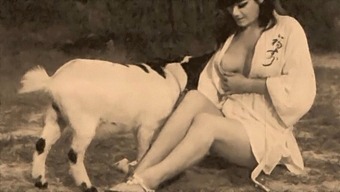 Classic Taboo: Pussy And Pooch In A Retro Setting